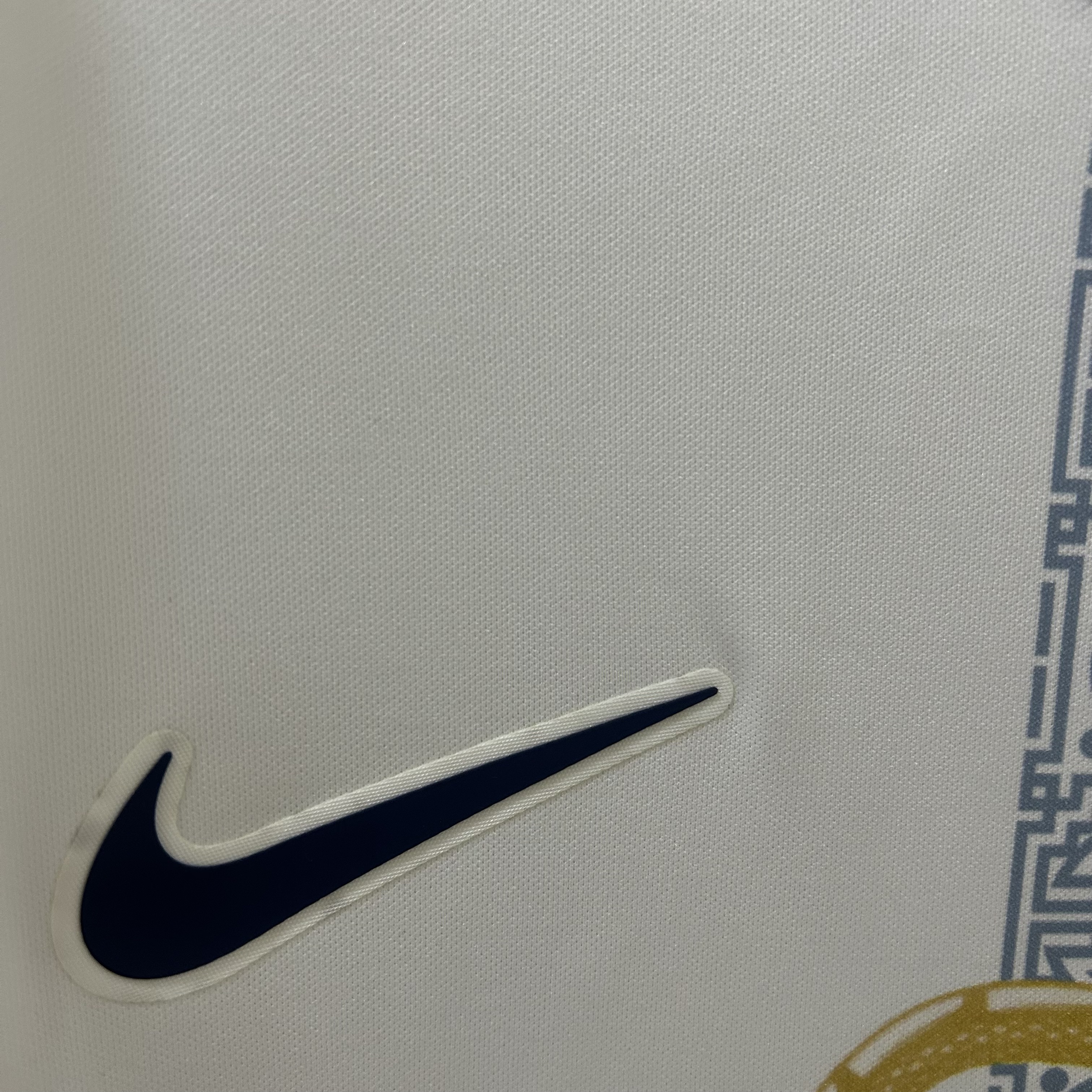 Tottenham Hotspur Year of the Snake Warm Up Man Jersey 25/26