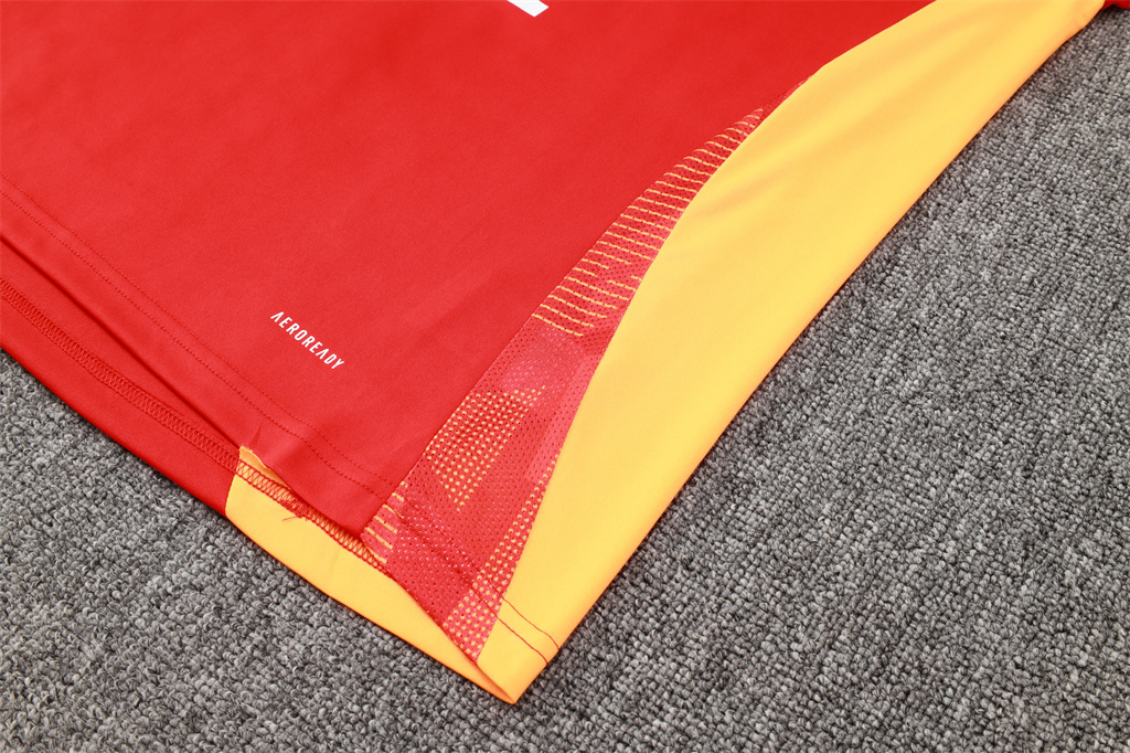 Bayern Munich Training Short sleeve Suit 24/25