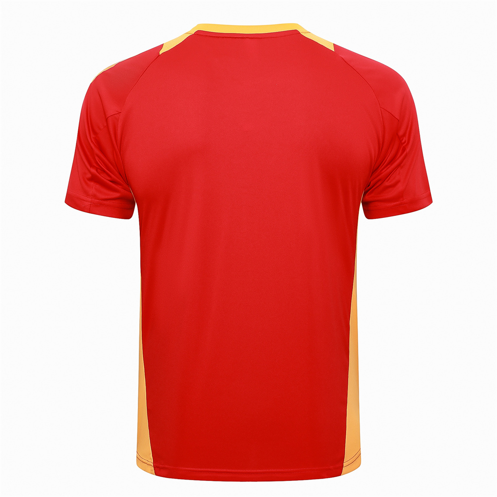 Bayern Munich Training Short sleeve Suit 24/25