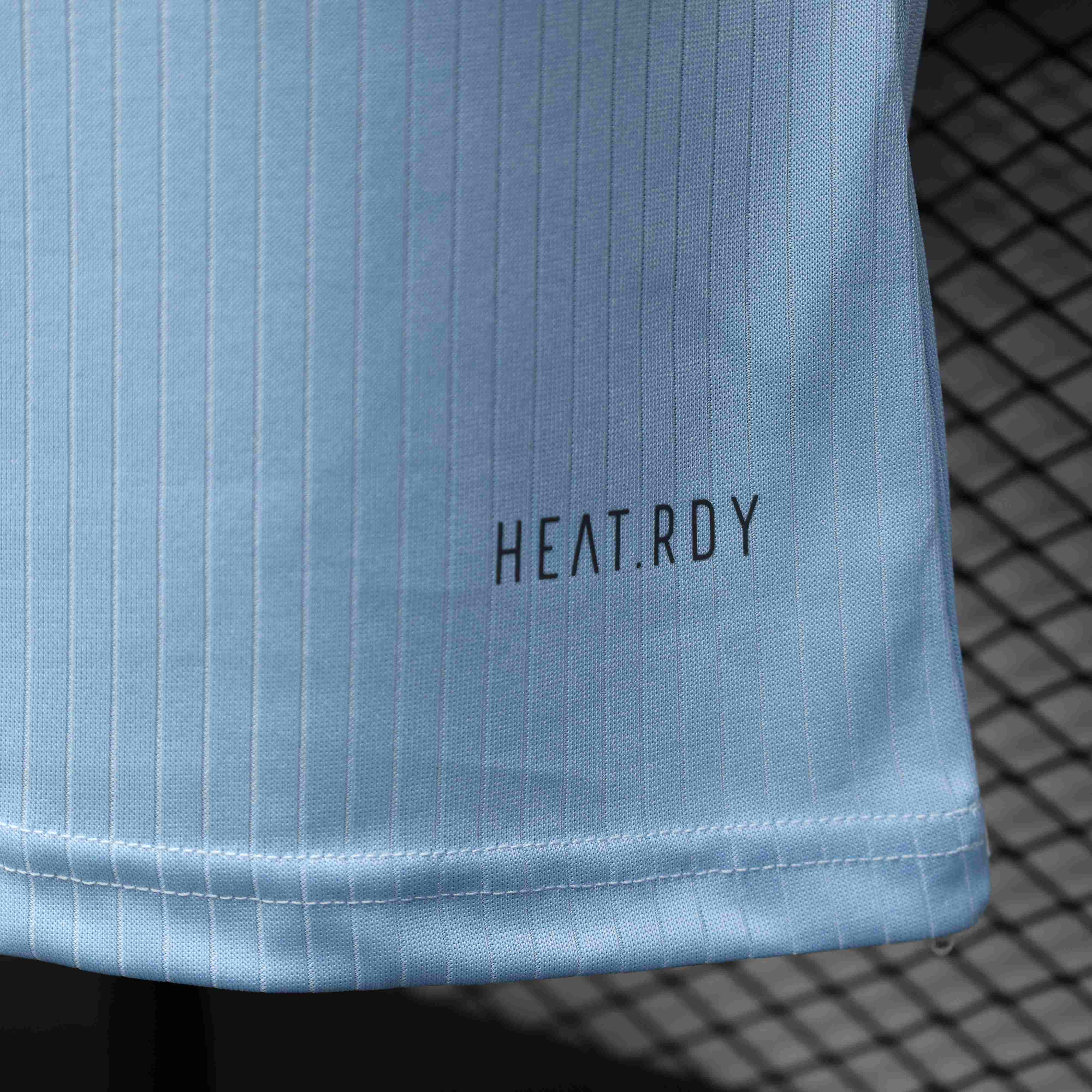 Adidas Germany 125th Anniversary Blue Goalkeeper Shirt Player Version 2025