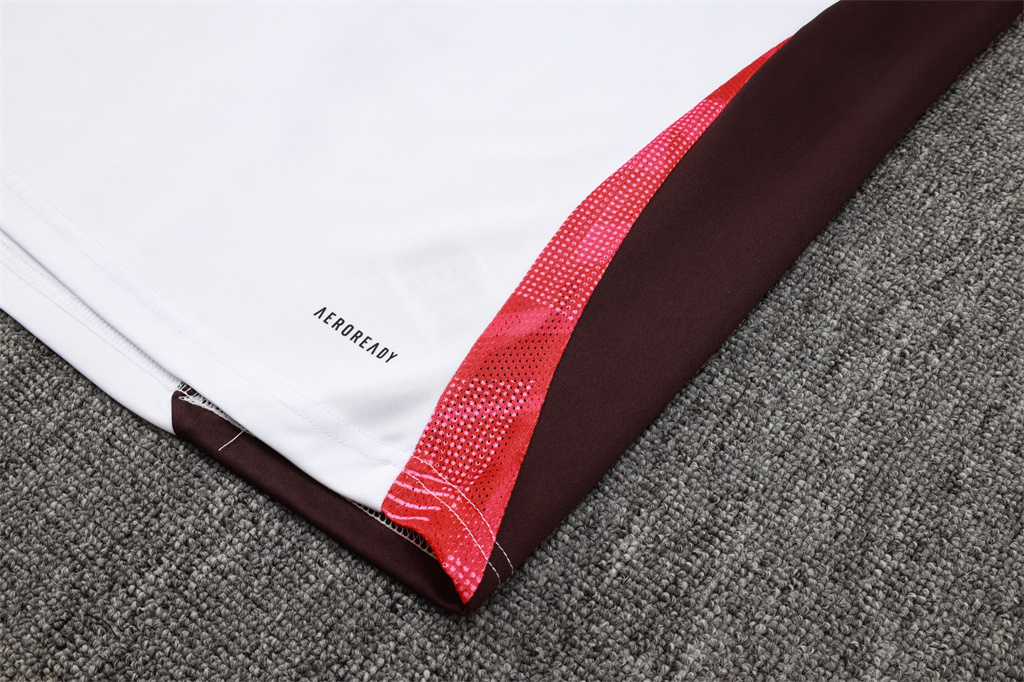 Bayern Munich Training Jersey Suit 24/25