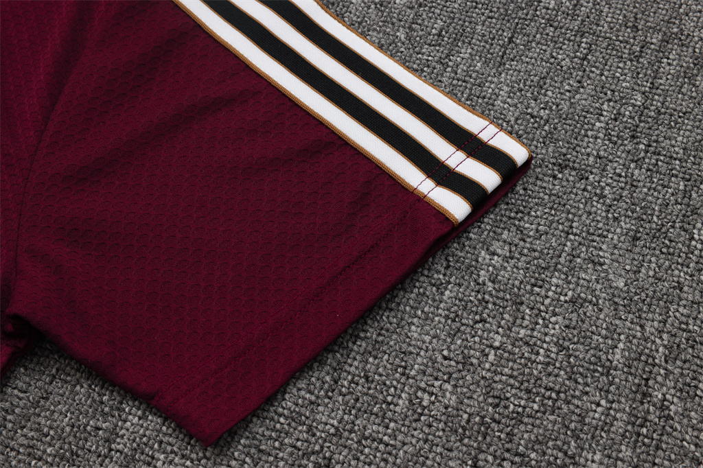 Ajax POLO Jersey 25/26