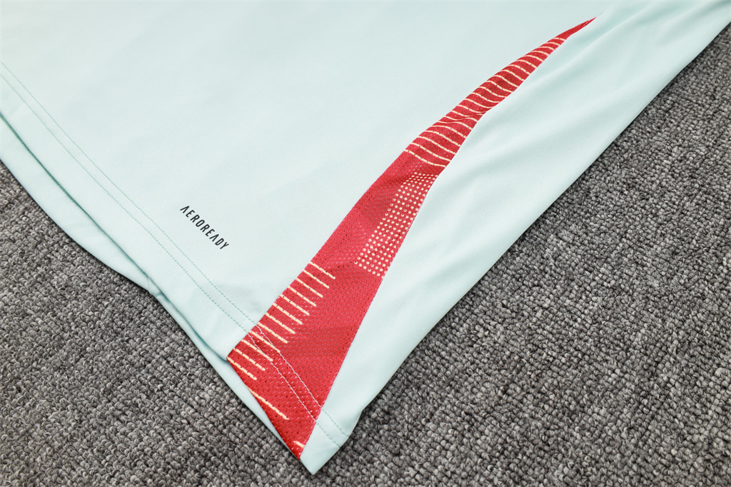 Spain Training Short sleeve Suit 24/25