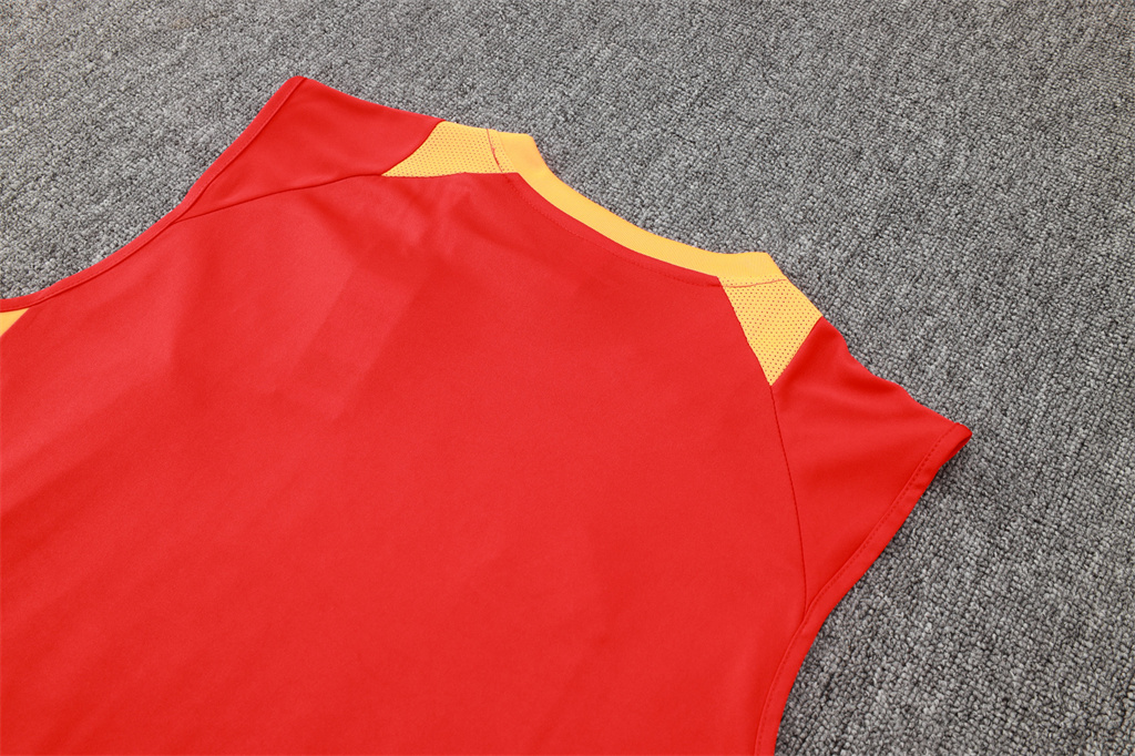 Bayern Munich Training Jersey 24/25