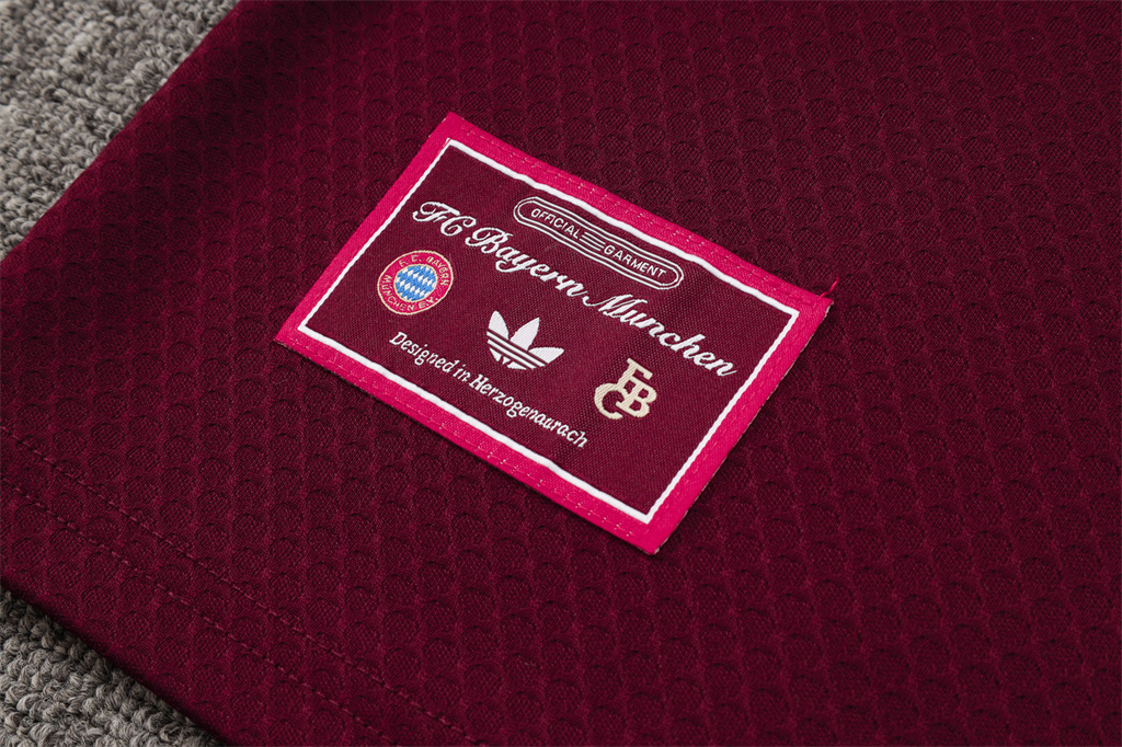 Bayern Munich Training Short sleeve Jersey 25/26