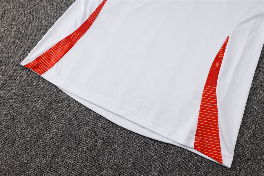 Internacional  POLO Jersey 24/25