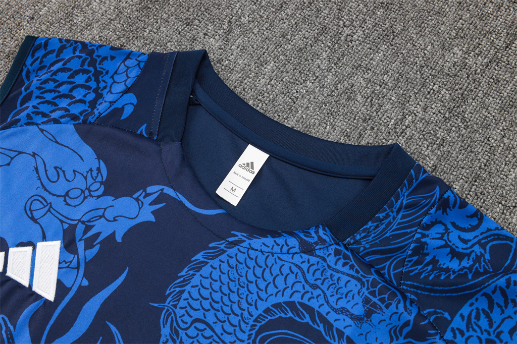 Real Madrid Training Jersey 24/25