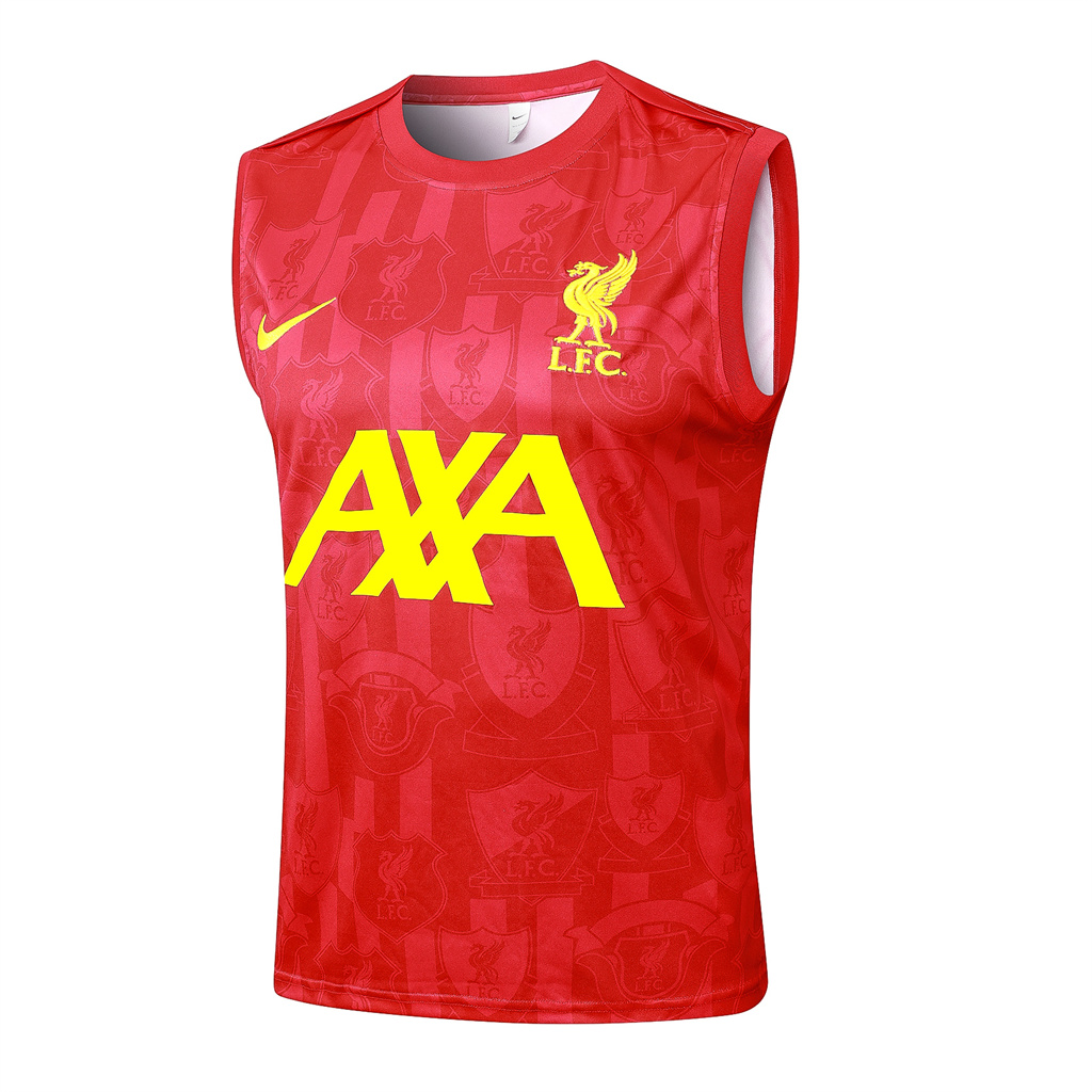 Liverpool Training Jersey 24/25