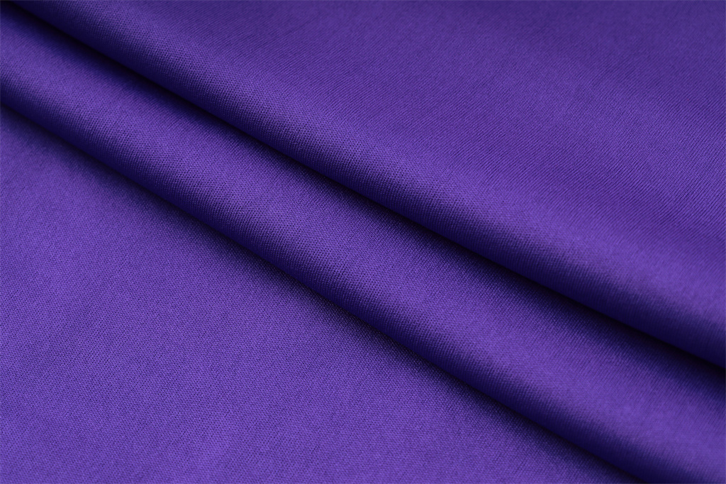 Germany POLO Jersey 24/25