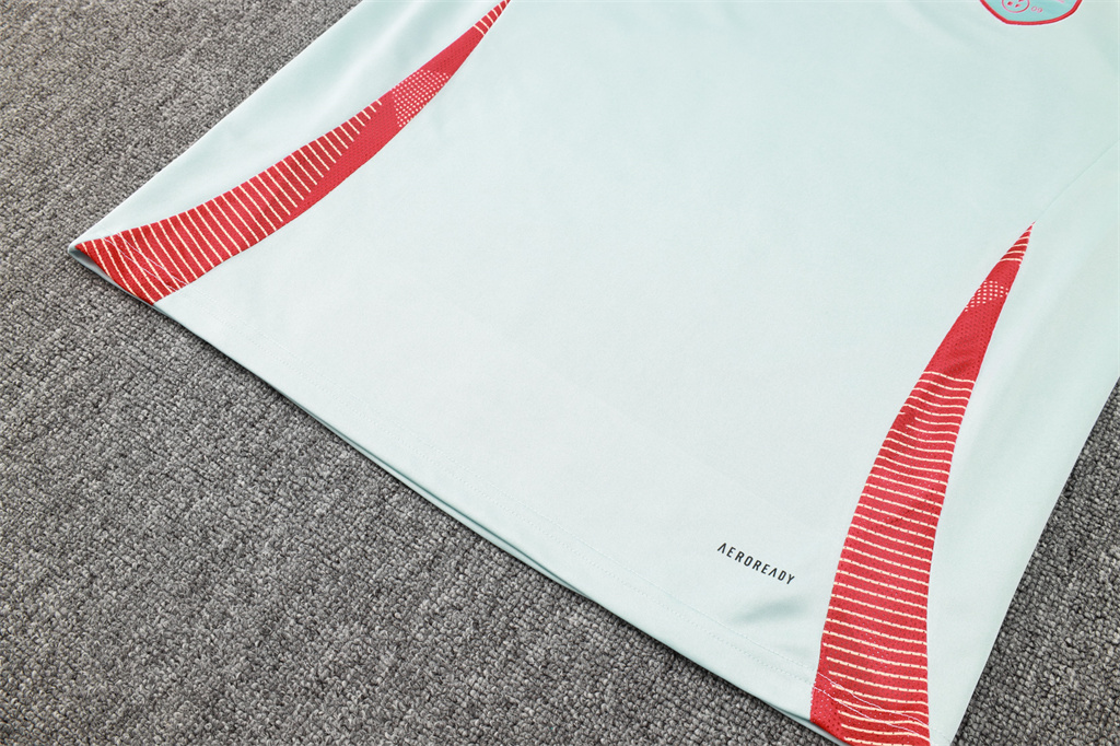 Spain Training Jersey Suit 24/25