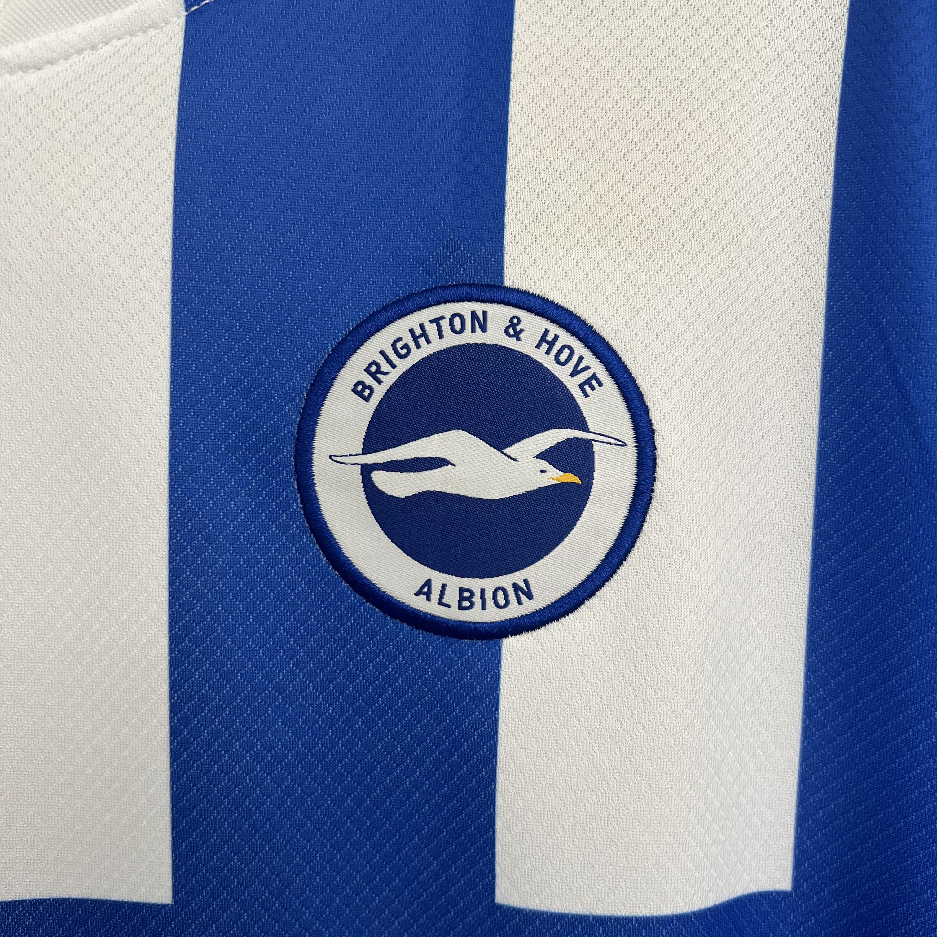 Brighton & Hove Albion Home Man Jersey 25/26