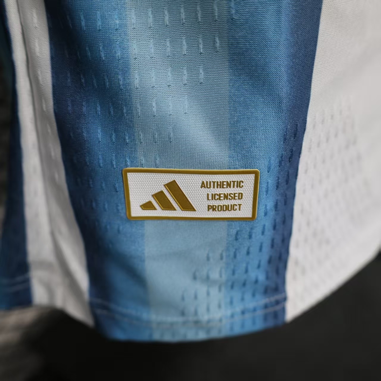 Argentina Home Long Sleeves Jersey Player Version World Cup 2026