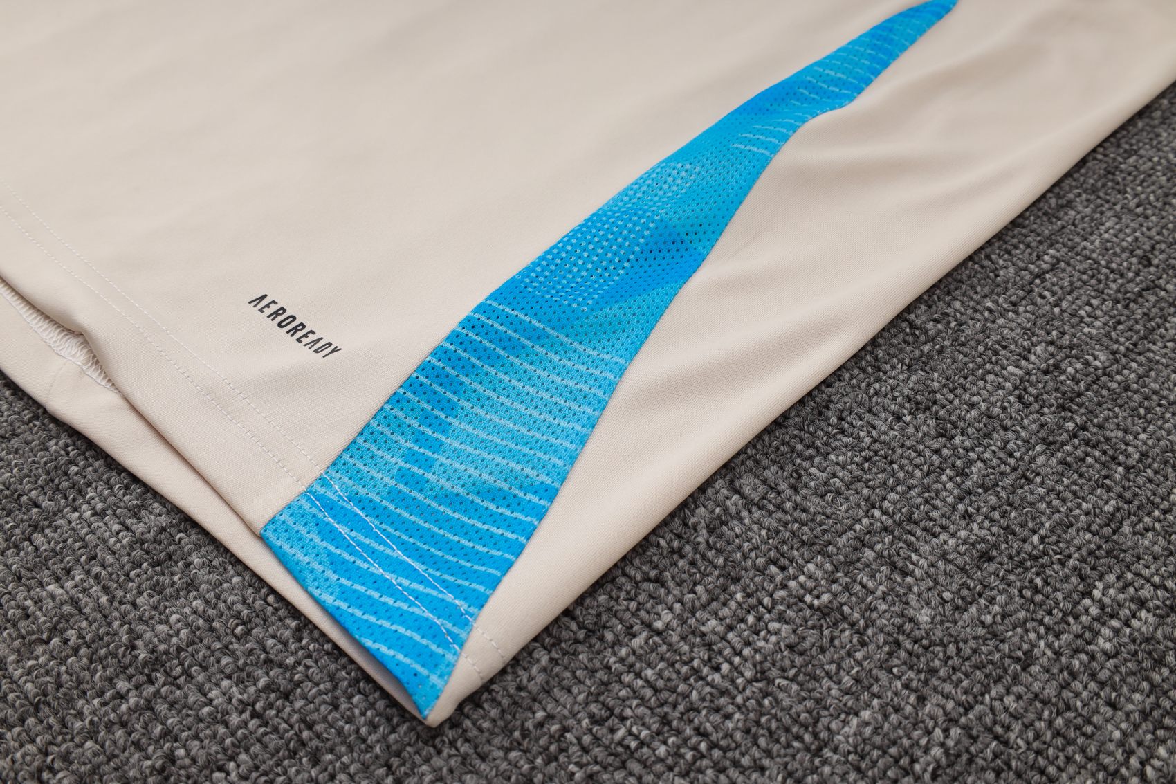 Argentina Training Jersey 24/25