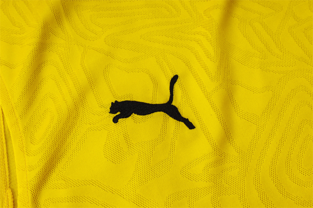 Borussia Dortmund Training Jersey 24/25