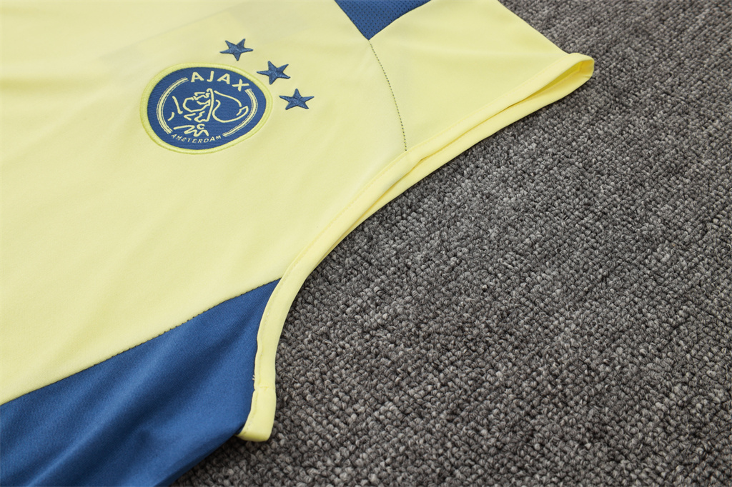 Ajax Training Jersey 24/25