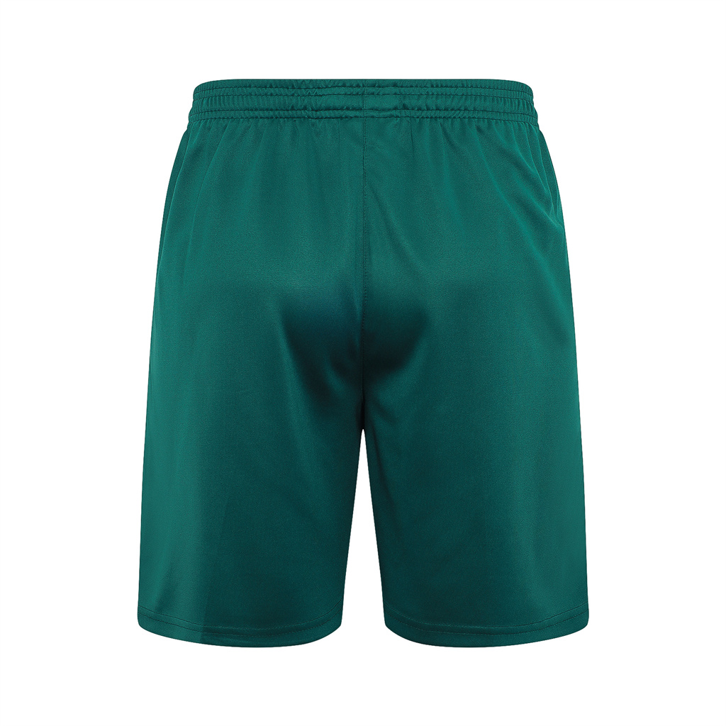 Palmeiras Training Short sleeve Suit 24/25