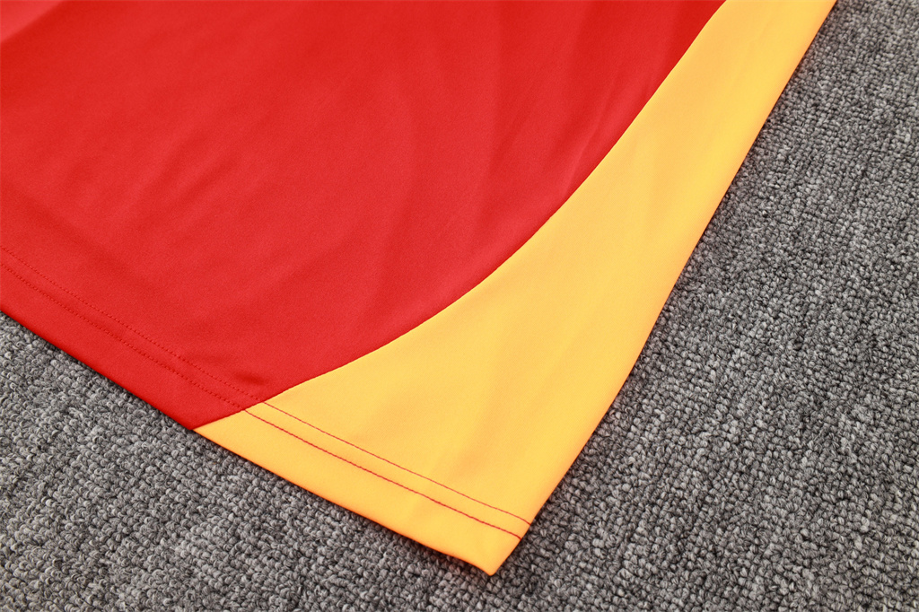 Bayern Munich Training Short sleeve Jersey 24/25