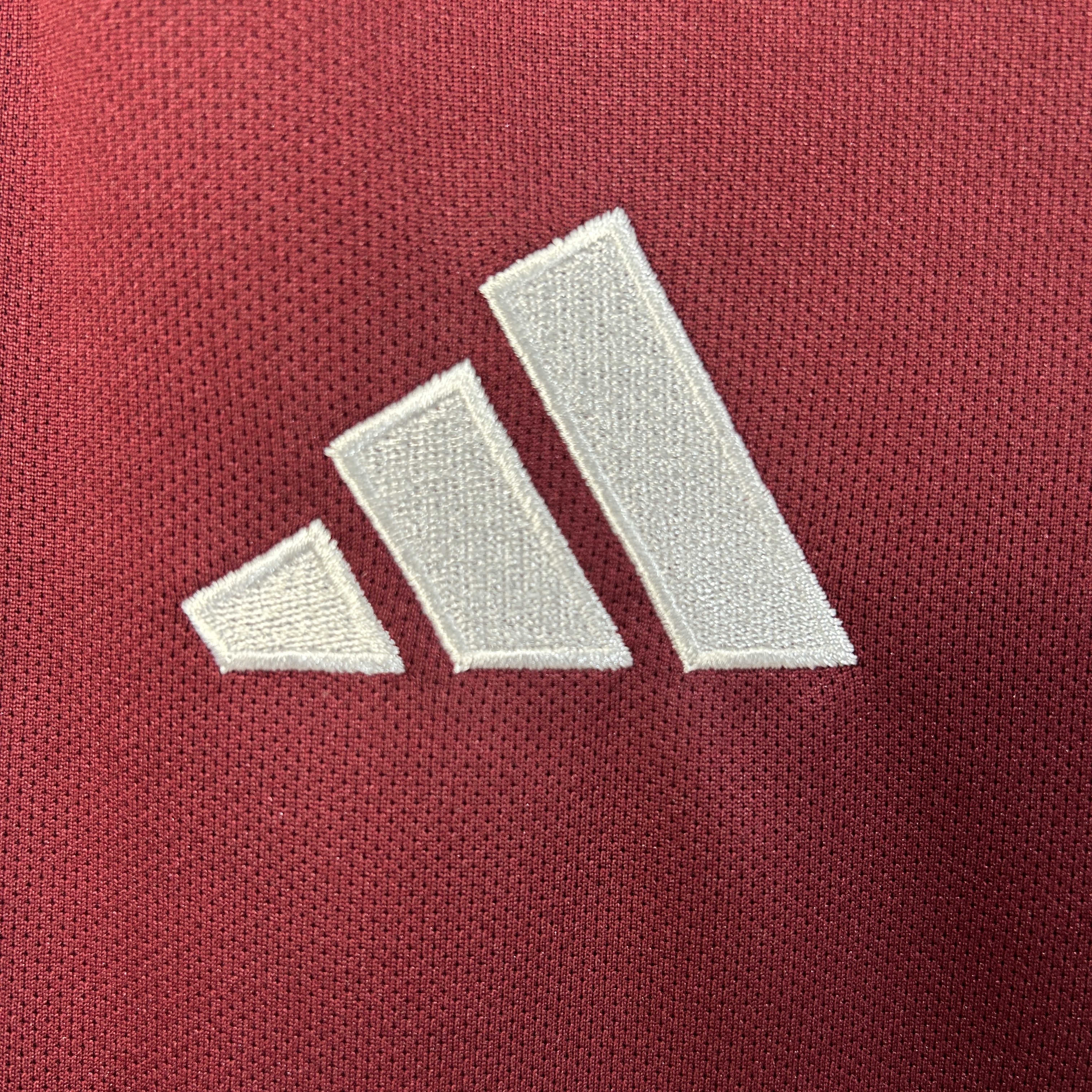 Aston Villa Man Home Jersey 25/26