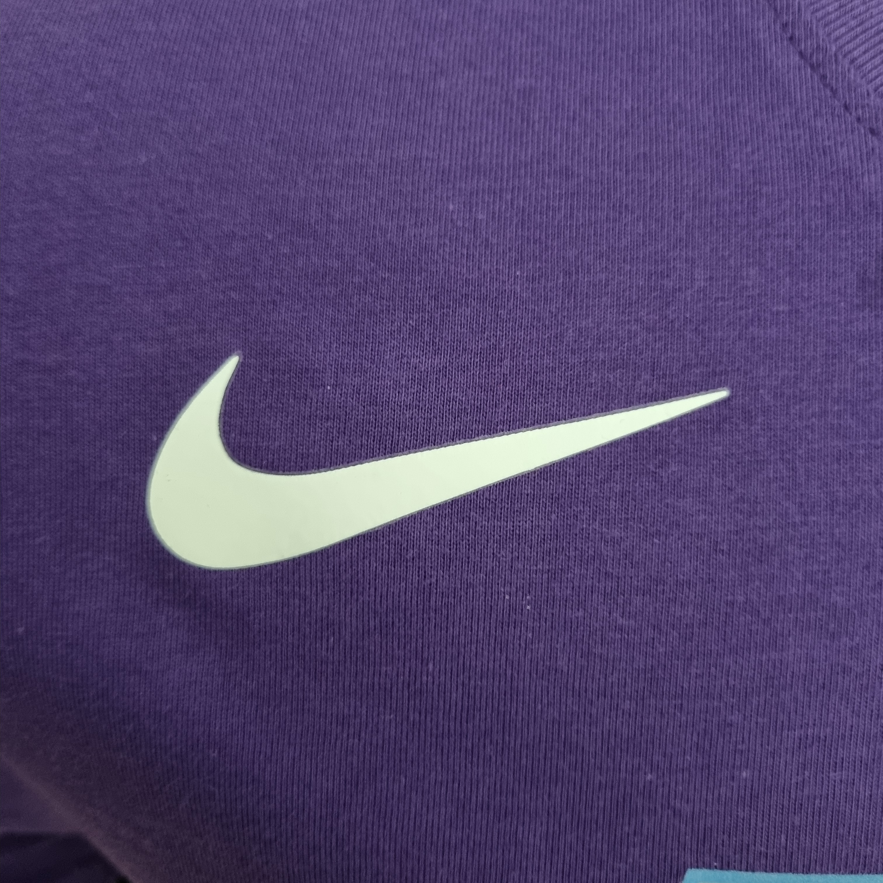 LeBron James Los Angeles Lakers Casual T-shirt Purple