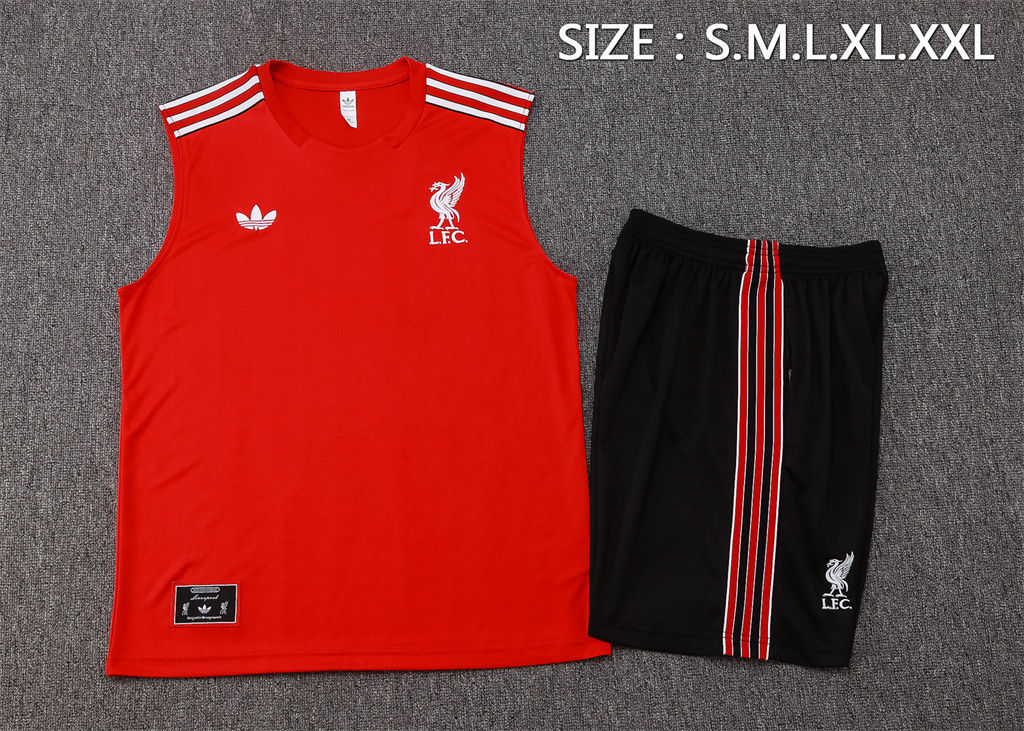 Liverpool Training Jersey 25/26