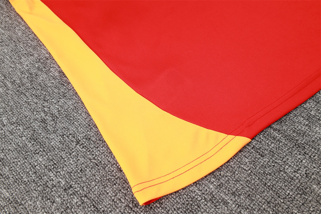 Bayern Munich Training Jersey 24/25