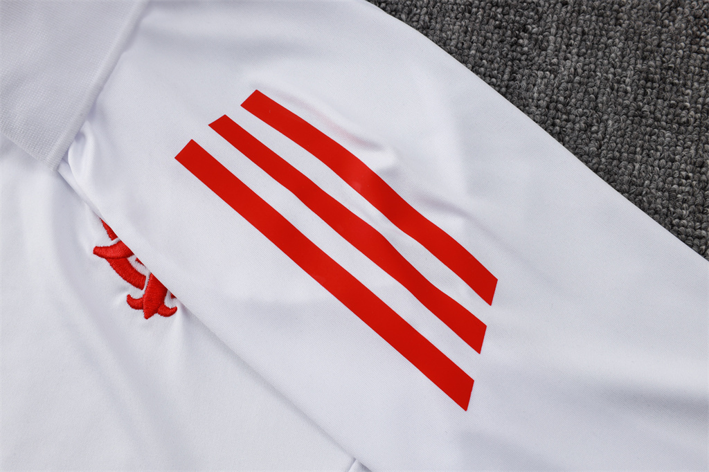 Internacional  POLO Jersey 24/25