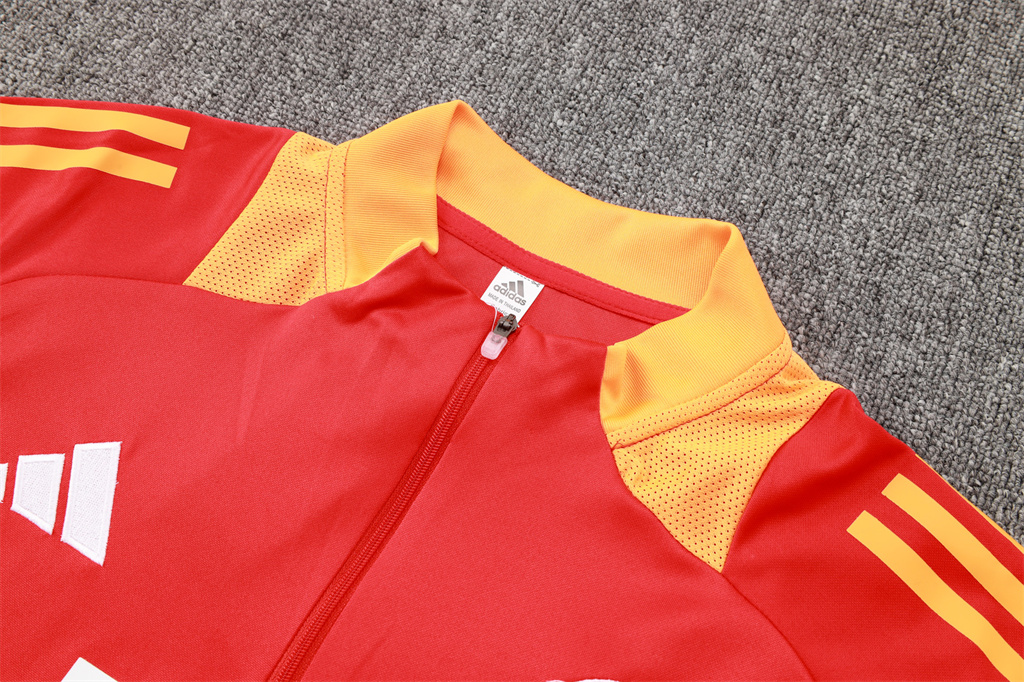 Bayern Munich Training Jersey Suit 24/25