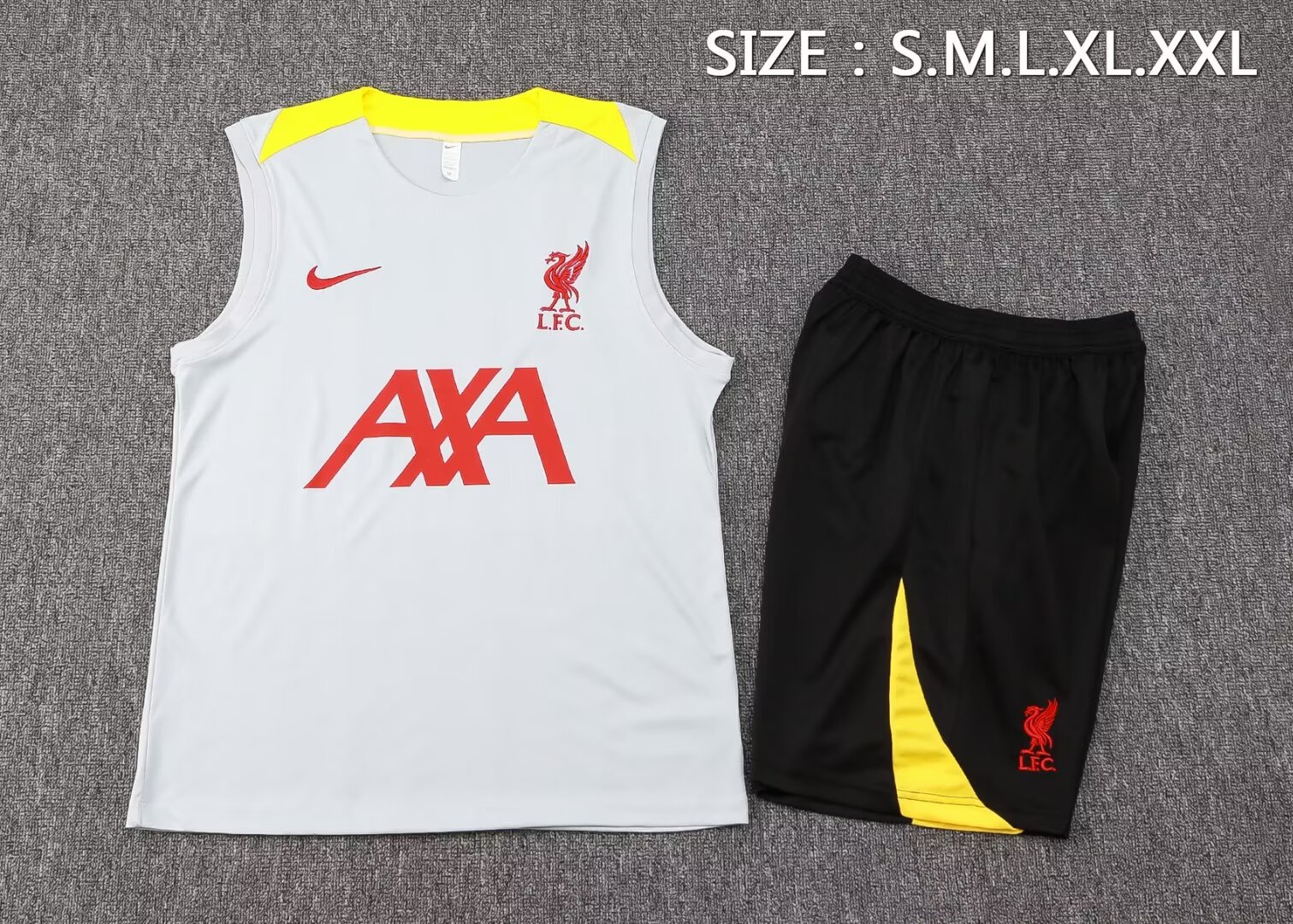 Liverpool Training Jersey 24/25