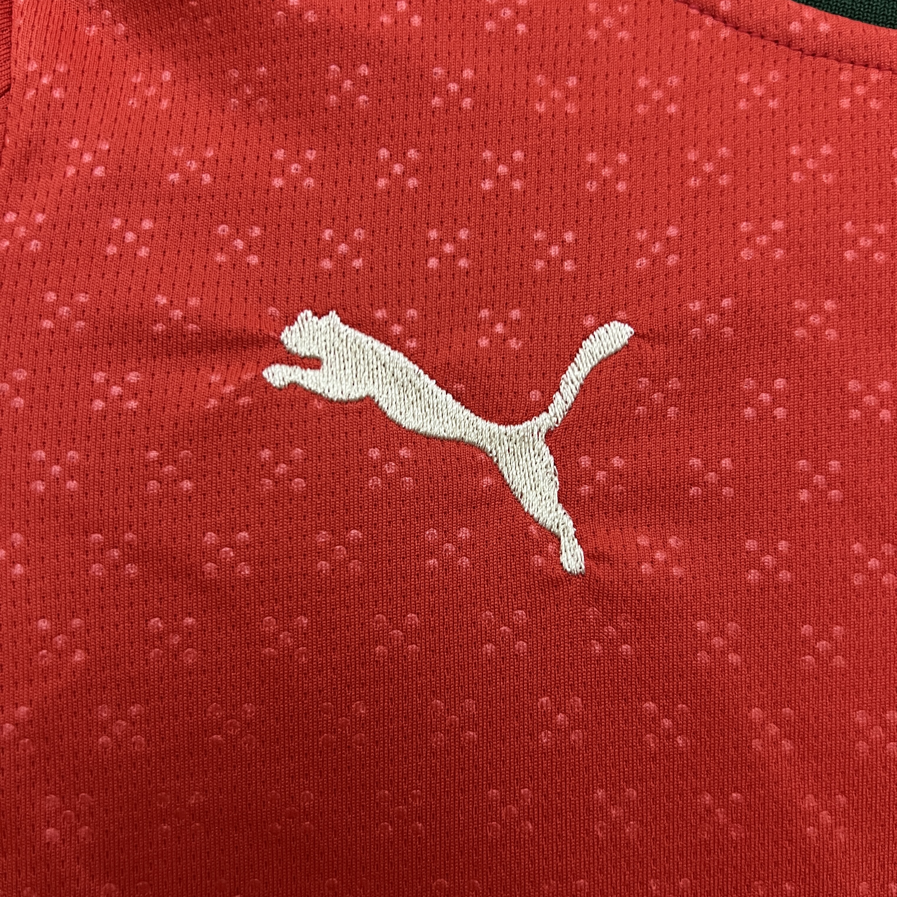 Portugal 2025 Home Long Sleeve Kids Suit