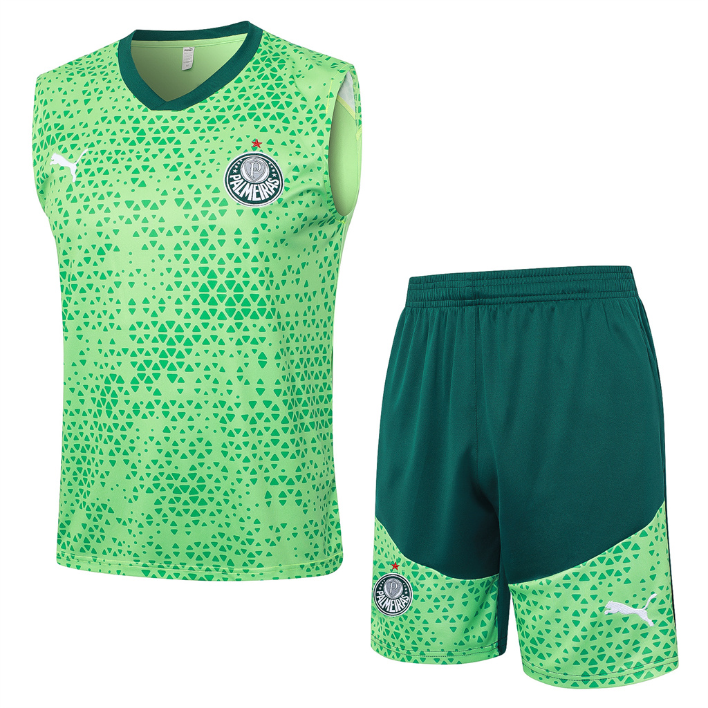 Palmeiras Training Jersey 23/24