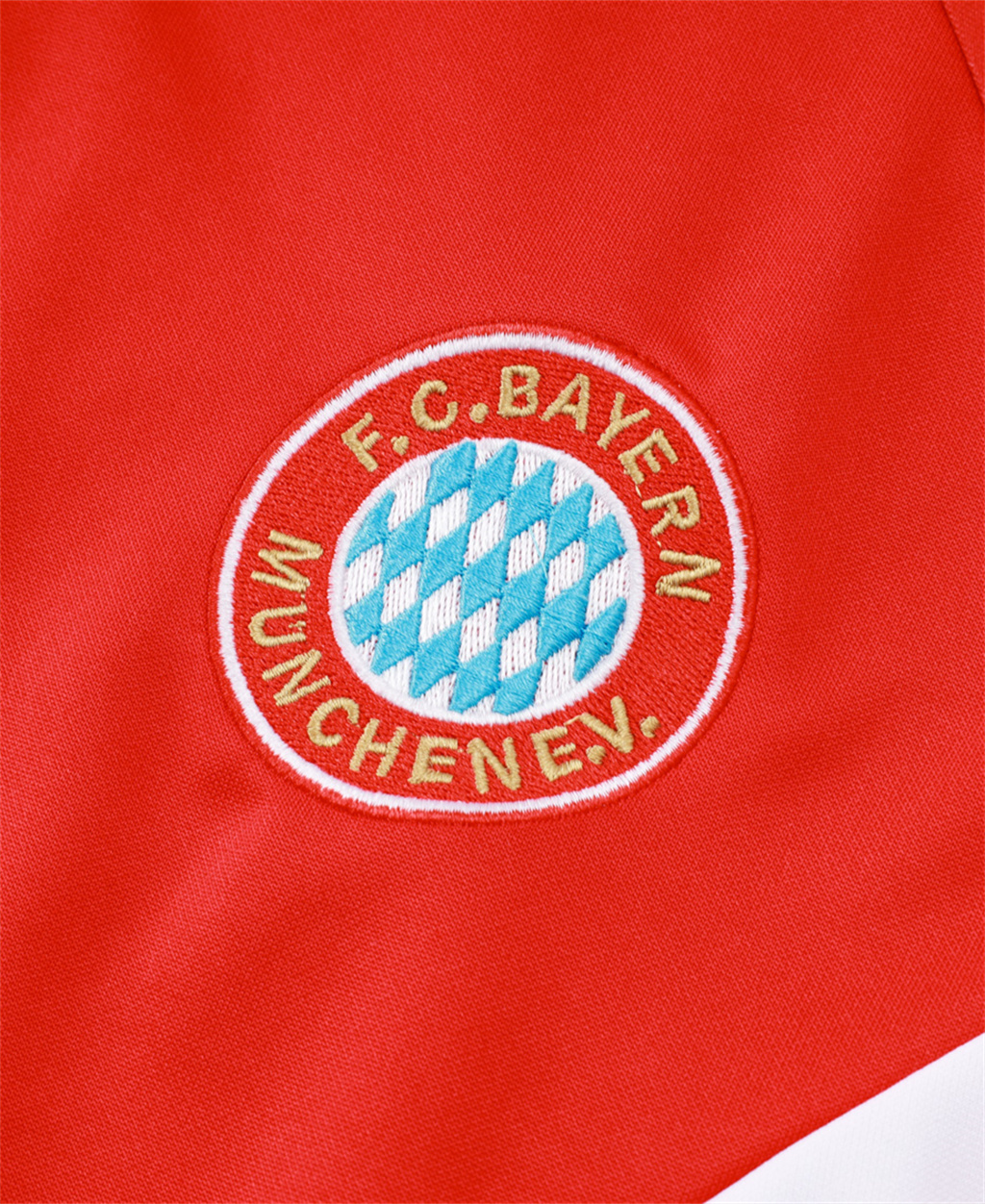 Bayern Munich Training Jacket 24/25