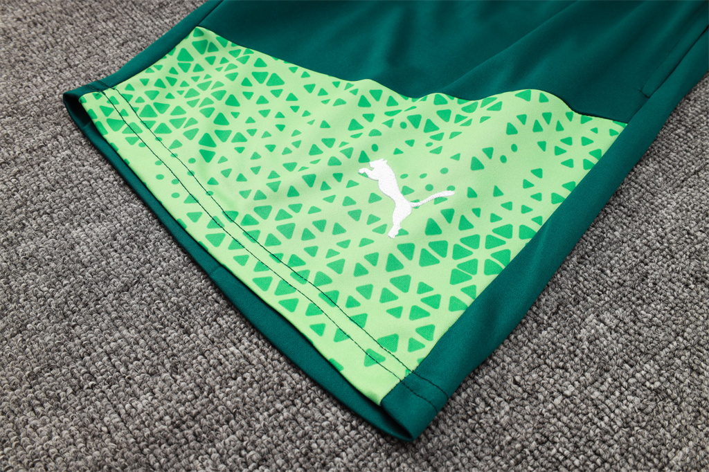 Palmeiras Training Short Sleeve Jersey 24/25