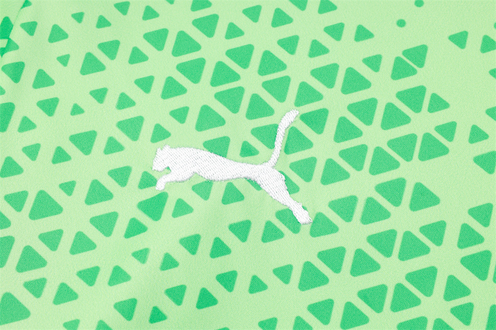 Palmeiras Training Short sleeve Suit 24/25