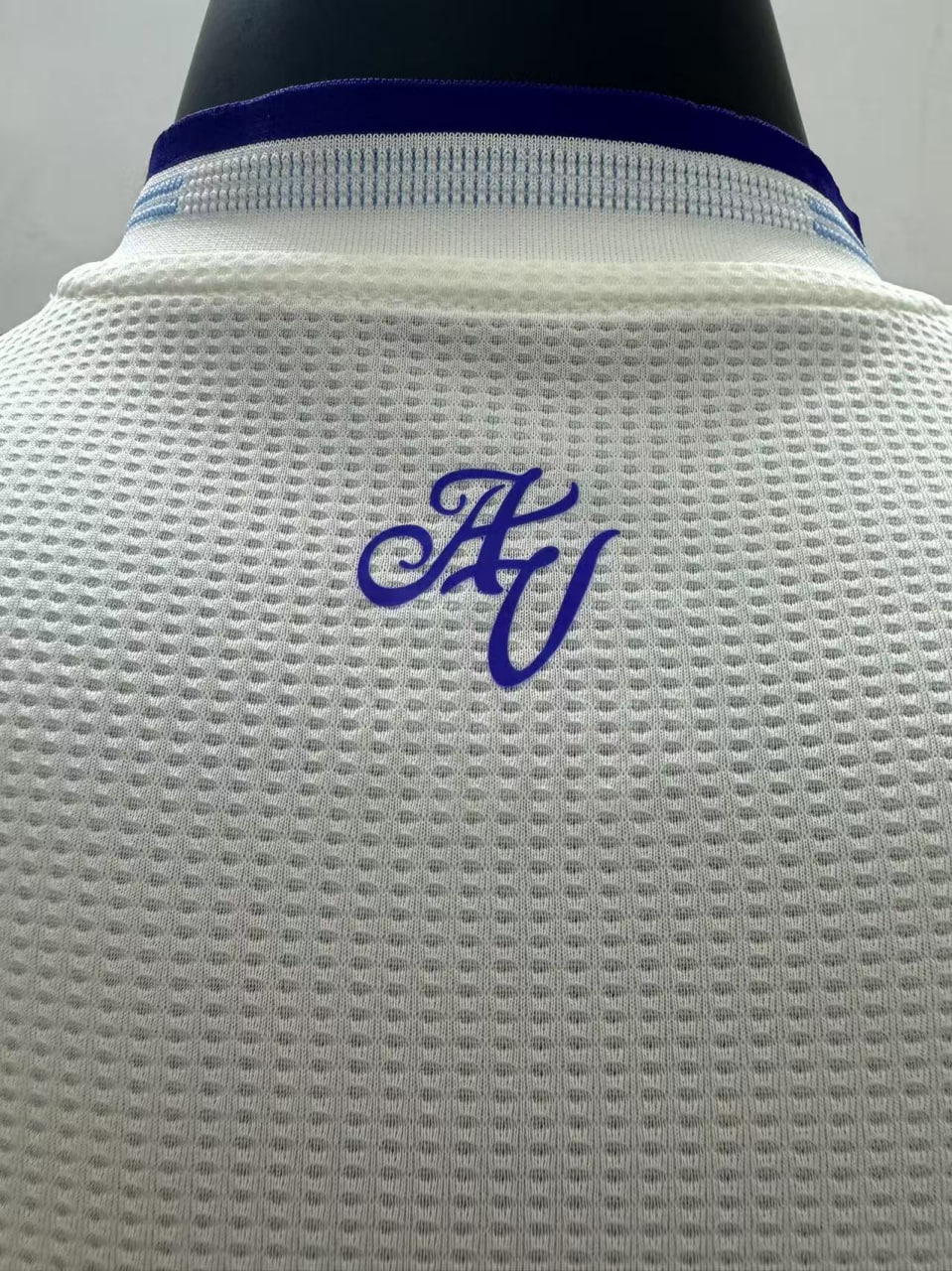 Aston Villa Man Third Player Jersey 25/26