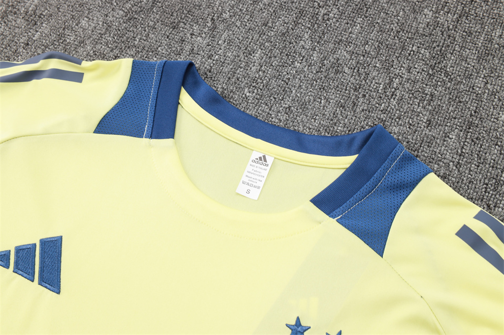 Ajax Training Short sleeve Suit 24/25