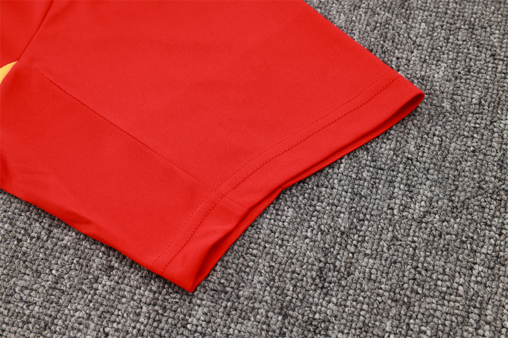 Bayern Munich Training Short sleeve Jersey 24/25