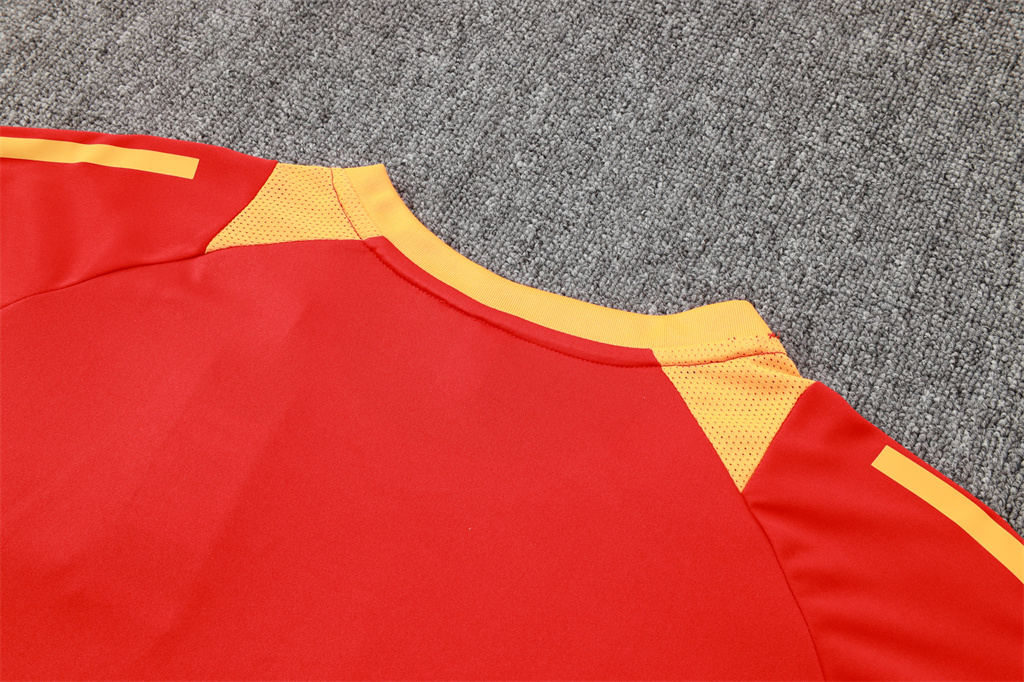 Bayern Munich Training Short sleeve Suit 24/25