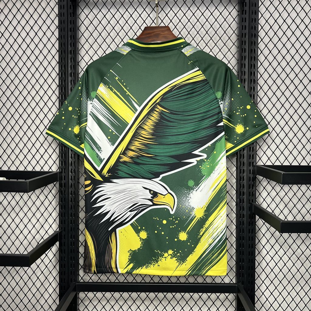 Brazil 2024/25 Special Eagle kit Jersey